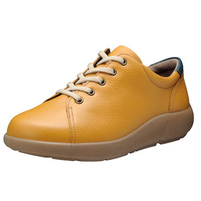 アフリカ便！高品質 イボイノシシ 成獣の頭骨（Lサイズ） アフリカ便