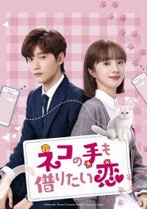 中国ドラマ/ネコの手も借りたい恋-第13話第24話(完)- (DVD-SET 2) 日本盤　Accidentally Meow on You