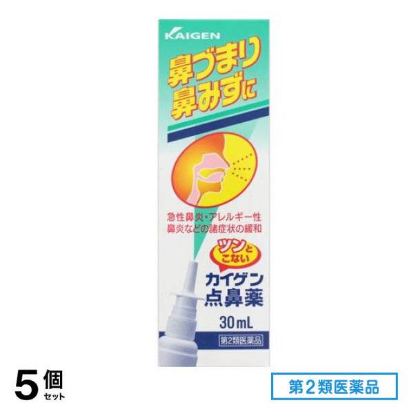 第２類医薬品 カイゲン点鼻薬 30mL 5個セット