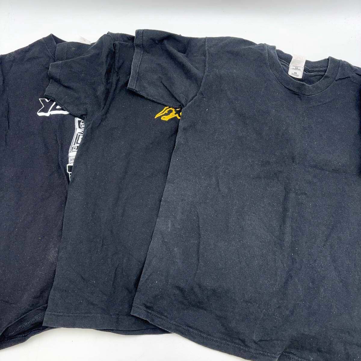 【中古】全日本プロレス 星野勘太郎 魔界 メイン UFO 大仁田厚 SENGOKU 安田忠夫 Tシャツ 半券 グッズ 大量
