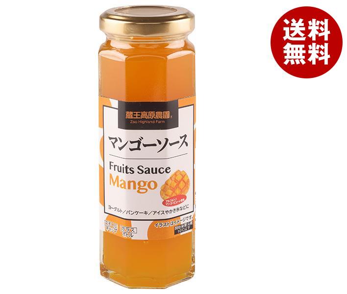 和歌山産業 マンゴーソース 160g＊12本入＊(2ケース)