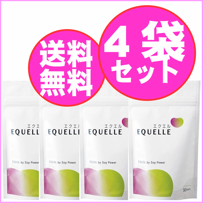 エクエル　パウチ　（120粒入30日分）4袋　大塚製薬　エクオール含有食品　大豆イソフラボン　更年期　健康食品　【メール便】