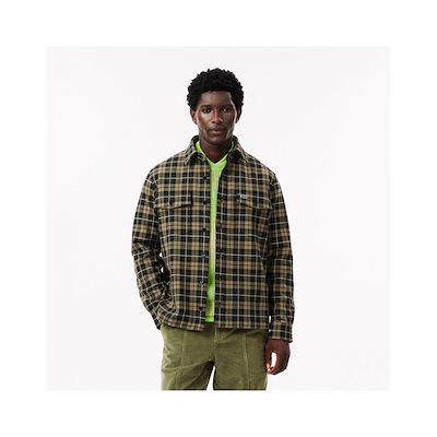 特価】アガベ ホリダ 特大株 【公式通販】