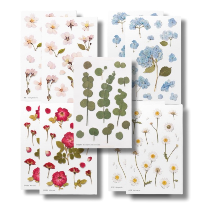 [9枚セット]Appree 人工押し花ステッカー 桜 2枚+アジサイ 2枚+ミニバラ 2枚+マーガレット 2枚+GIFT ユーカリ 1枚
