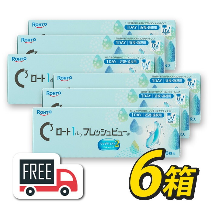 ロート ワンデーフレッシュビュー リッチモイスト2（1箱30枚入）6箱 コンタクトレンズ 1日使い捨て 1day ポスト便 送料無料