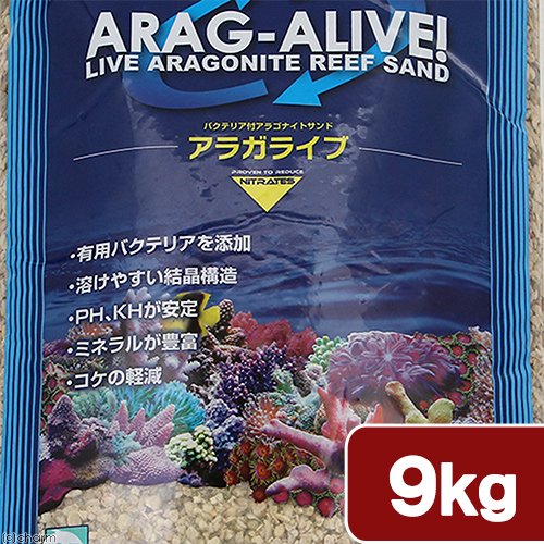 カミハタ　カリブシー　アラガライブ　フロリダクラッシュコーラル　９．０ｋｇ　ＣＲＣ10―35―85―10―00