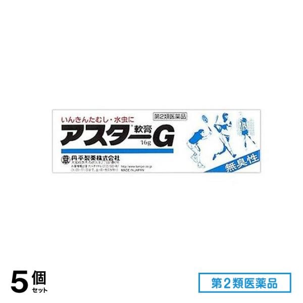 第2類医薬品 アスターG軟膏 16g 5個セット