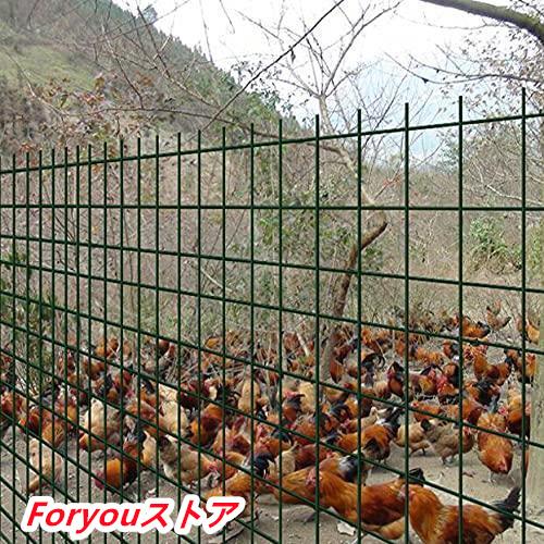 【即纳】激安販売！金網フェンス1.2M（H）x 30M（L）ワイヤー亜鉛メッキ6CMメッシュサイズ2 MMワイヤー直径植物フェンシングを保護するため