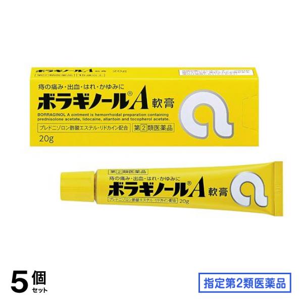 指定第２類医薬品 ボラギノールA軟膏 20g 5個セット 5,876円