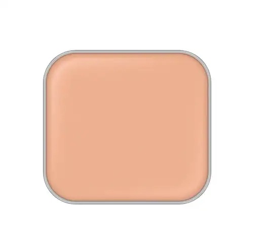 Al　bion　アンテリサンス ブライトエマルジョン ファンデーション　6色 SPF30 PA+++（レフィル）（ケース別売り）　正規品