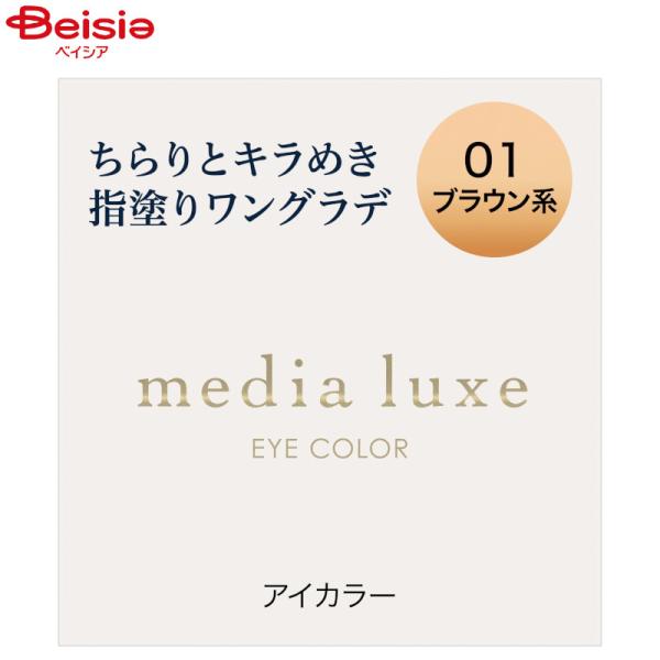 ���f�B�A �����N�X �A�C�J���[ 01 �u���E���n