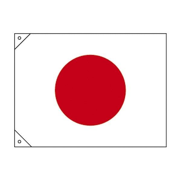 旗 日章旗(特大)
