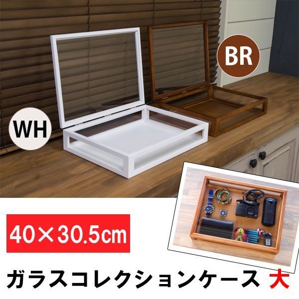 コレクションケース/ディスプレイケース 単品 大 幅40cm 木製フレーム ガラス製 ホワイト(白) 完成品