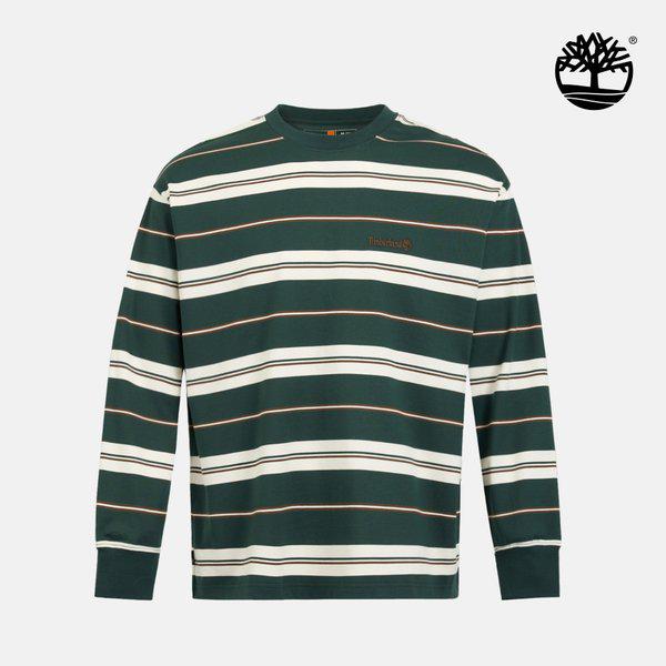 男女共用オールジェンダー ストライプ Tシャツ グリーン A5RSM 317