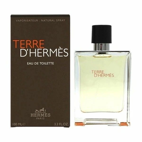 テール ドゥ エルメス EDT SP 100ml【送料無料】【香水 メンズ レディース】