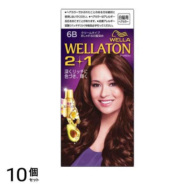 トーン2+1(ツープラスワン) クリームタイプ 6B やや明るいピュアブラウン 1個 10個セット