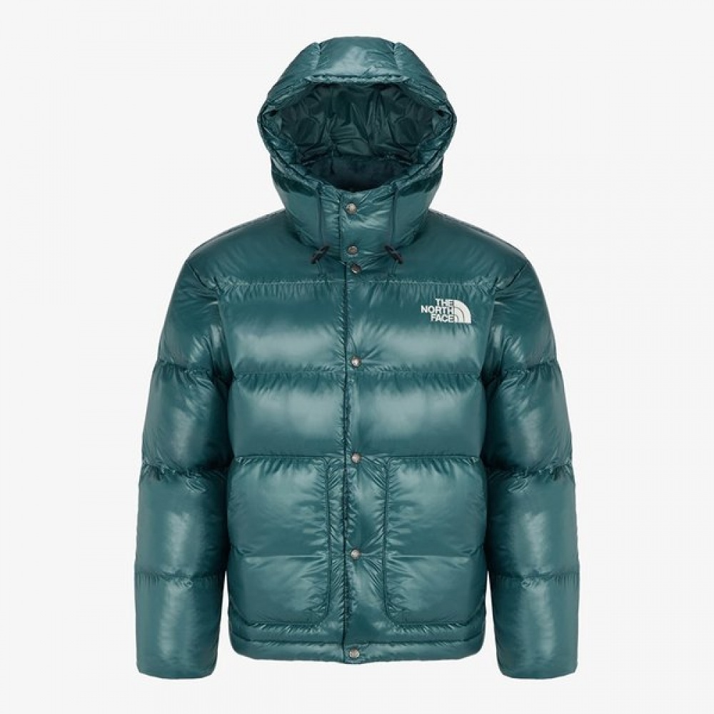 ノースフェイス シエラ RDS ダウンジャケット DARK GREEN NJ1DQ67C