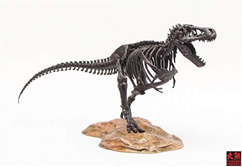 1/72 ティラノサウルス Tレックス T-REX 恐竜 骨格 リアル フィギュア PVC プラモデル おもちゃ 模型 プレゼント プレミアム 15cm級 オリジナル 塗装済 完成品 台座付き