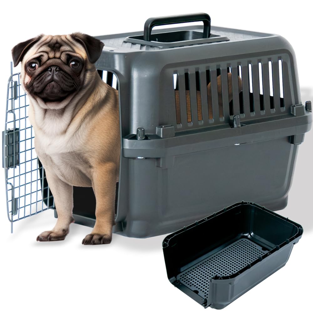 プチリュバン ペットキャリー DX50B すのこ付き 両開きドア 猫用 小型犬用 中型犬用 小動物用 IATA基準クリア クレート 5kgまで Mサイズ 奥行き50 x 幅33.5 x 高さ34cm