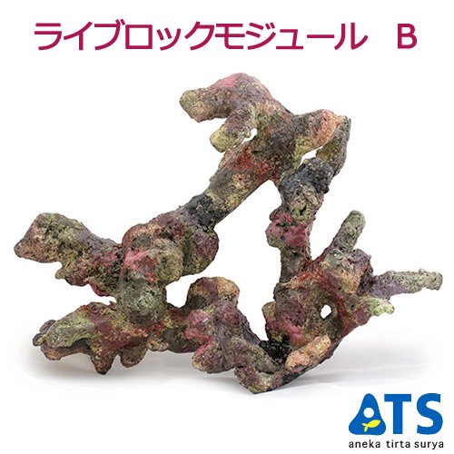 ライブロックモジュール　Ｂ　アクアリウム　擬岩　ＣＲＣ10―35―90―30―00 10,264円