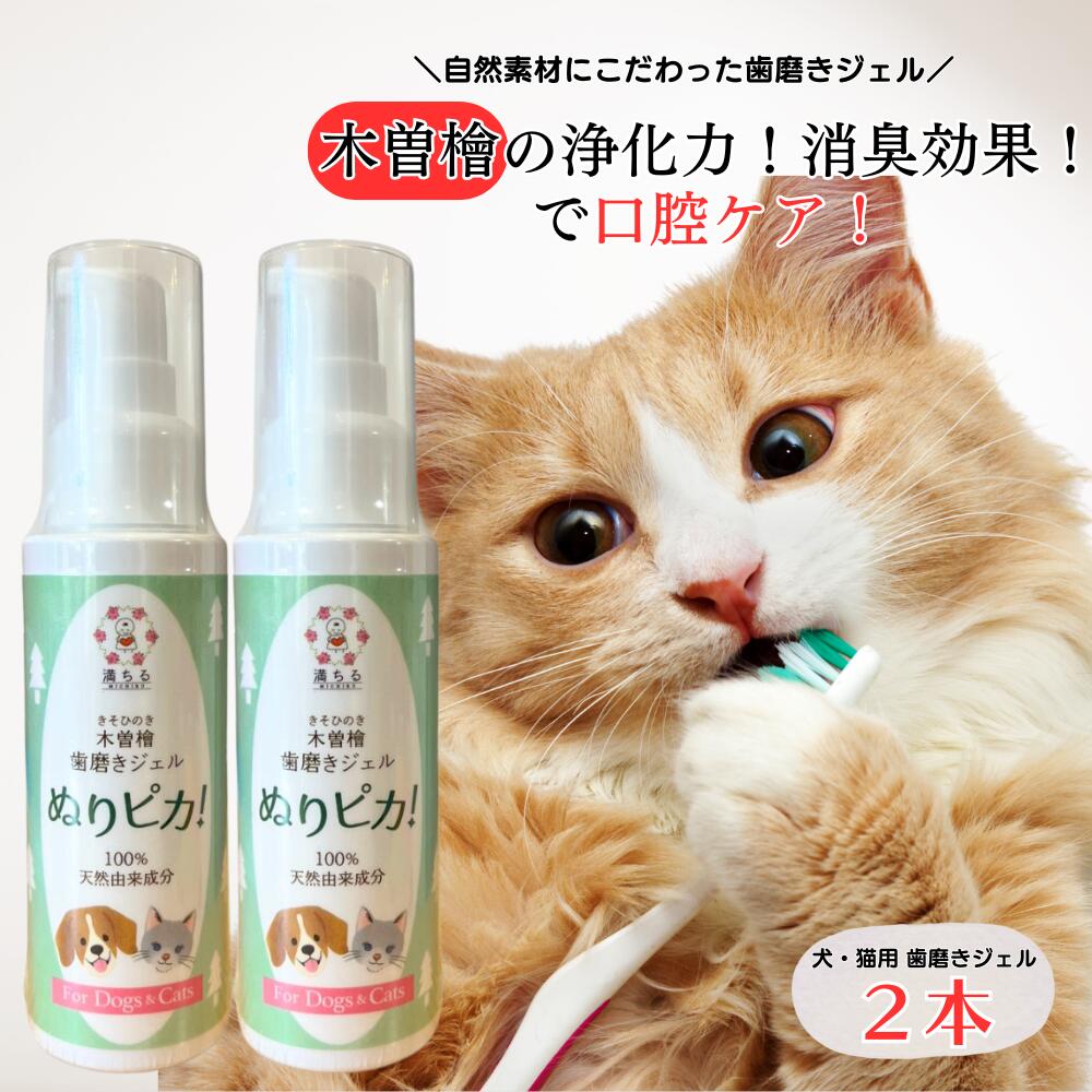 犬 猫 木曽檜歯磨きジェル ぬりピカ！ 80g ペット用 デンタルケア 口臭 歯石 口腔 歯磨き粉 満ちる 2本セット
