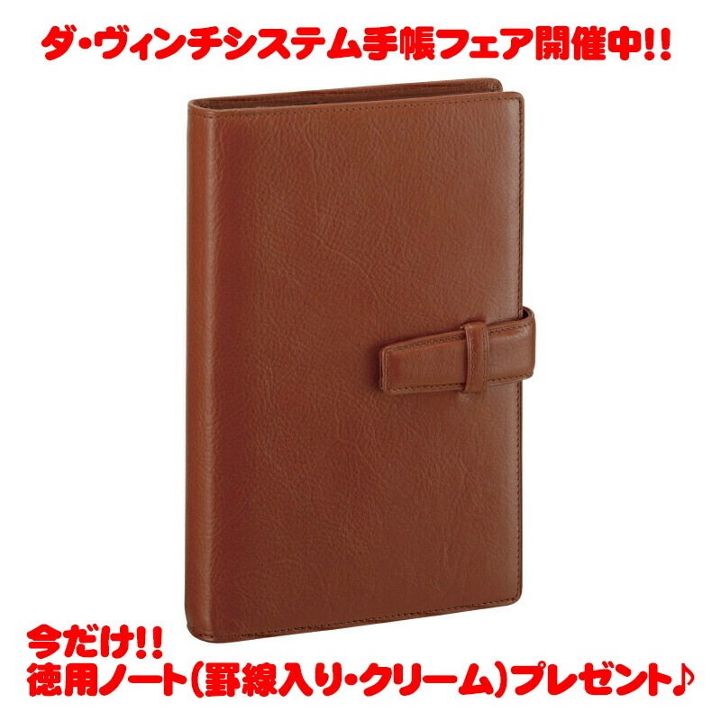 【ラッピング無料】【名入れ可(有償)】 レイメイ藤井 Raymay ダヴィンチ ダヴィンチ ブラウン 聖書 サイズ システム手帳 リング15mm ビジネス スタンダード スーパーロイスレザー DB3
