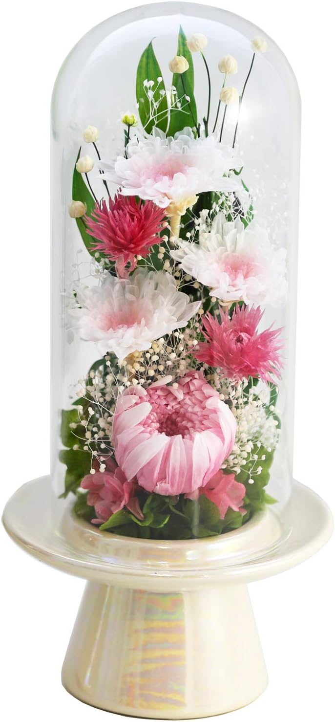 アートフォーシーズン お供え花輪菊 白系GlassDome ピンク プリザーブドフラワー
