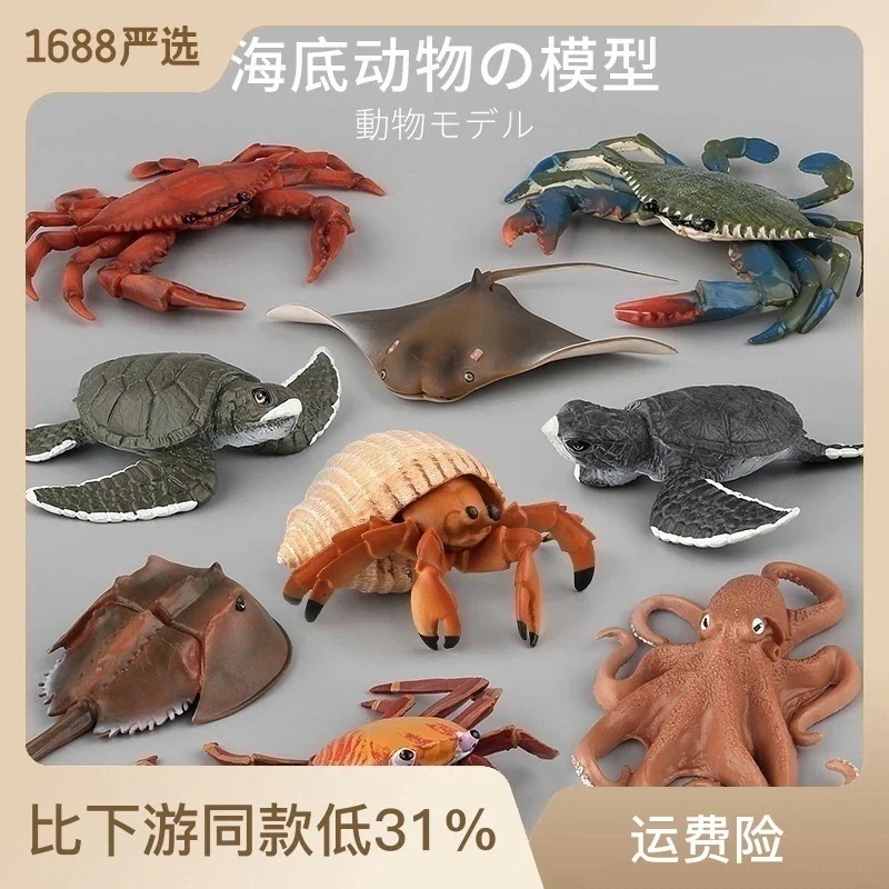 貝類シミュレーション海洋生物モデルタコウミガメオーナメントヤドカリモデルオーナメント海底動物