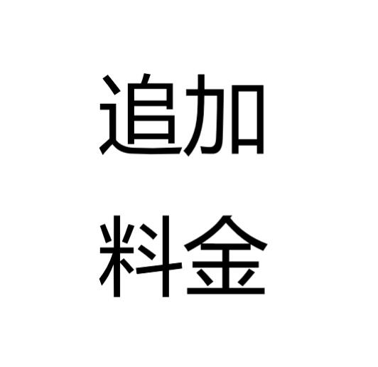 追加料金