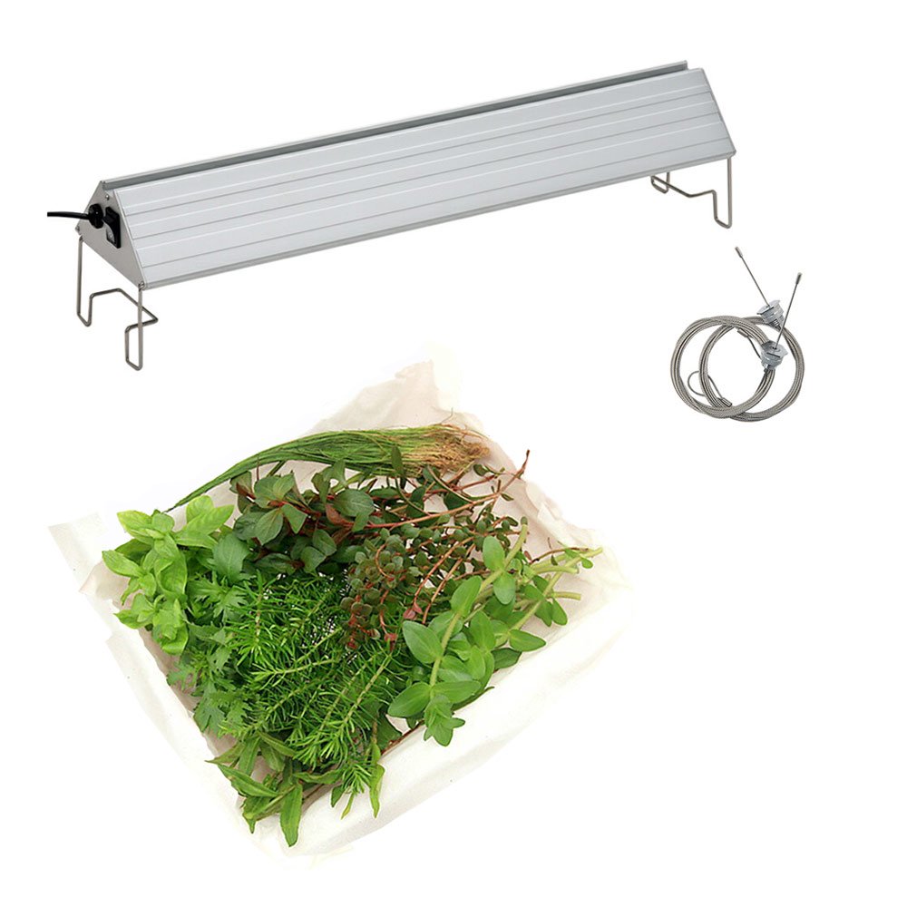 （水草）おまかせ水上葉レイアウトセット　８種（無農薬）＋アクロＬＥＤ　ＶＩＶＩＤ６００　６０ｃｍ水槽用　本州四国限定　ＣＲＣ10―15―60―10―50 11,729円