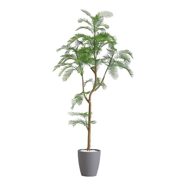 ホームテイスト SH-06-EVE-S お手入れ簡単フェイクグリーン エバーフレッシュ Sサイズ(120cm) グレー メーカー直送