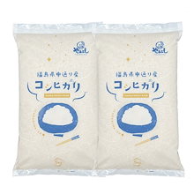米 お米 令和6年産 福島県中通り産 コシヒカリ 白米10kg(5kg2個)