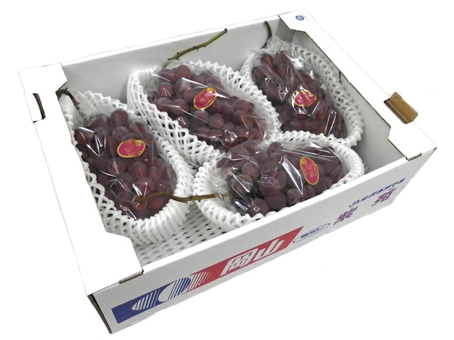 岡山産 =紫苑ぶどう= 秀品 超大房 4-6房 約4kg 予約 10月下旬以降