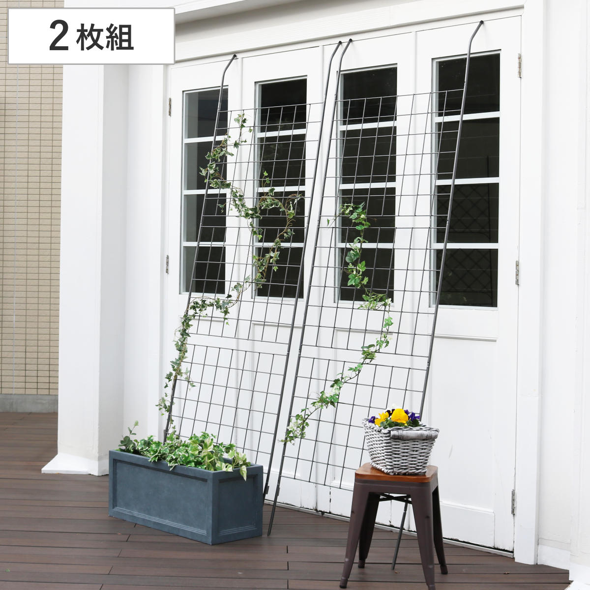 グリーンカーテン アイアン製グリーンカーテン グラフ 2枚組 グリーンフェンス グリーン カーテン フェンス ガーデンフェンス おしゃれ ガーデニング スチール 緑のカーテン 庭