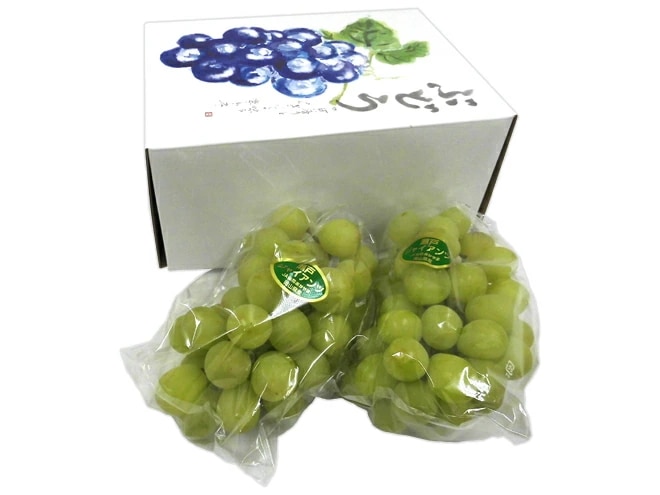 岡山産 =瀬戸ジャイアンツ= 秀品 大房限定 2房 約1-1.2kg 化粧箱 ぶどう[K2] 予約 9月以降