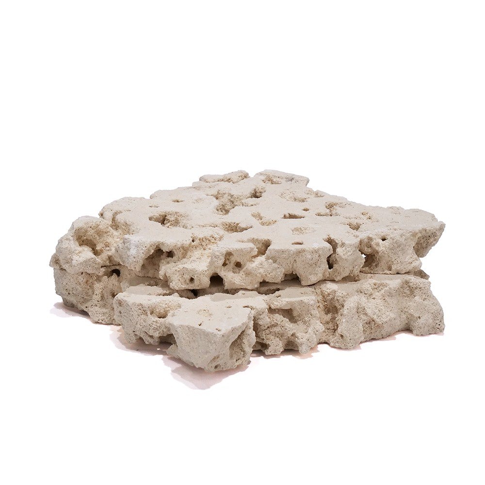 マルコロック　スライス　Ｍ　２枚　サンゴ　石　海水　水槽　飾り　レイアウト　ＣＲＣ21―20―90―00―00