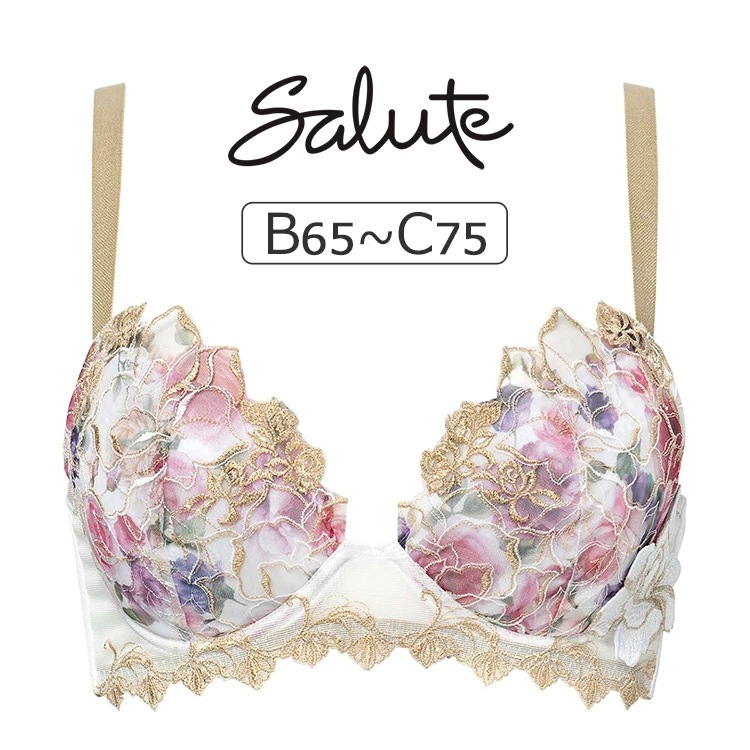ワコール サルート 17G ブラジャー単品 Real Up Bra BCカップ アンダー65/70/75cm BTJ717