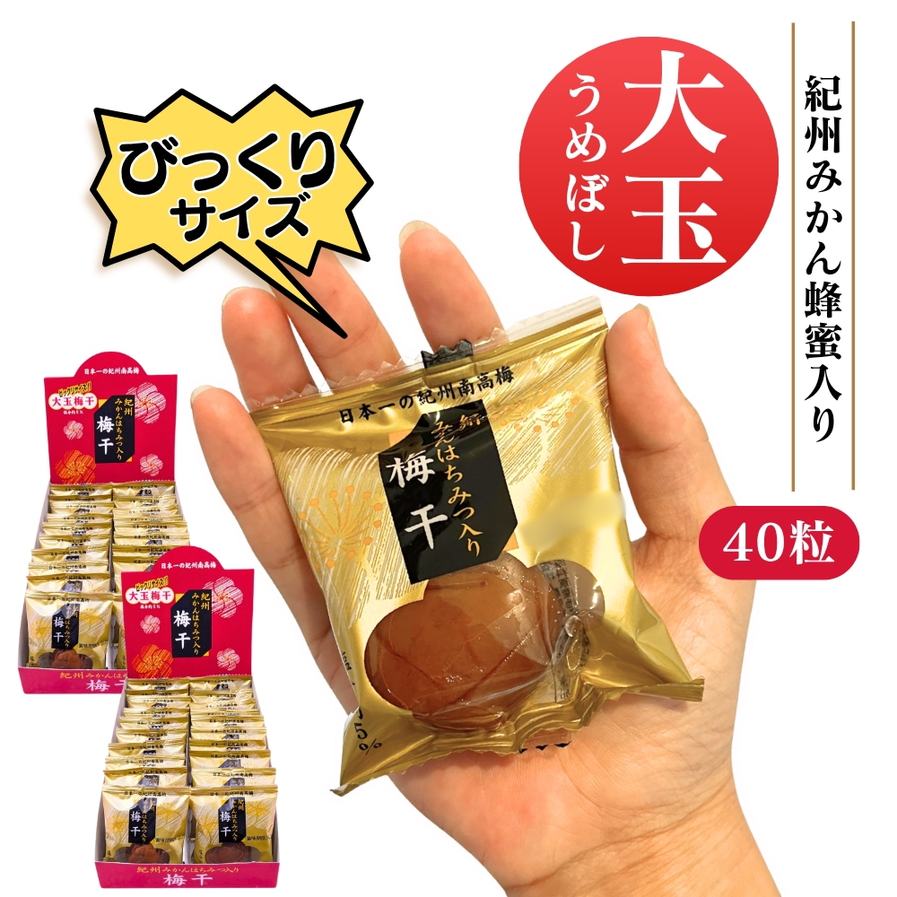 紀州南高梅 みかん蜂蜜入り 梅干し 大玉梅干し ビックリサイズ 4L 塩分5％ 個包装 梅美膳 マルチョウフーズ ピロ20粒入 2箱セット