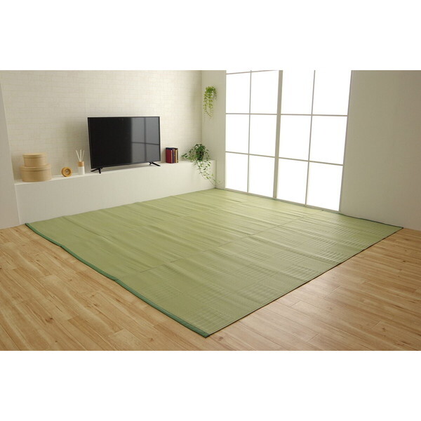 1090610121302 ラグ 洗える カーペット 日本製 国産 抗菌 防臭 消臭 アウトドア レジャー 敷物 和室 シンプル グリーン 江戸間8畳(約348×352cm) メーカー直送