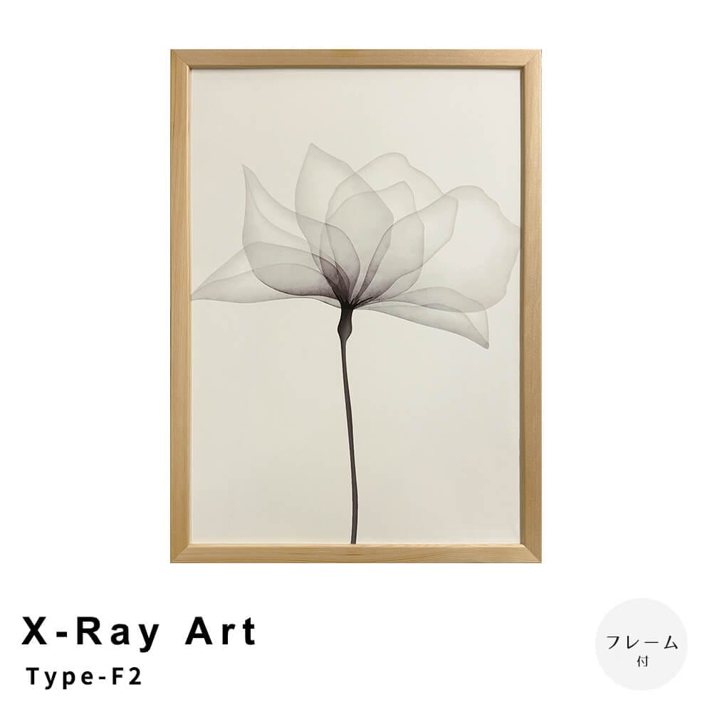 Ｘ－Ｒａｙ　Ａｒｔ　Ｔｙｐｅ－Ｆ２　アートポスター（フレーム付き）