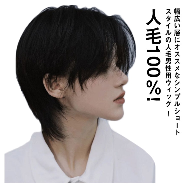 人毛100％! フルウィッグ ウイッグ メンズ 男性 かつら 自然 ビジネス用 人毛 ナチュラル ショート カツラ 黒髪 短髪 医療用 白髪隠し ボリュームアップ 普段使い 軽量 通気性 ヘアスタイリ