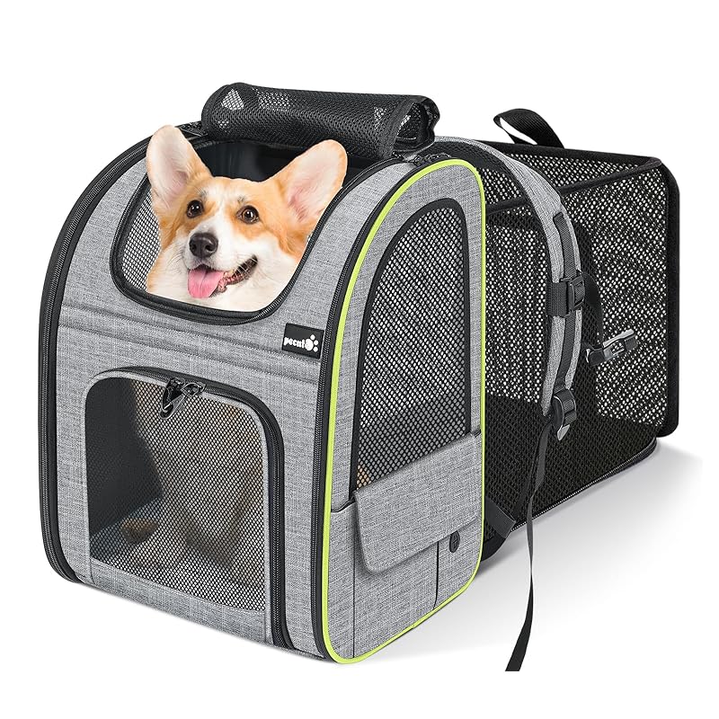 北方諸民族の世界観　荻原眞子　草風館　初版 北方諸民族の世界観 荻原眞子 草風館 初版 北方諸民族の