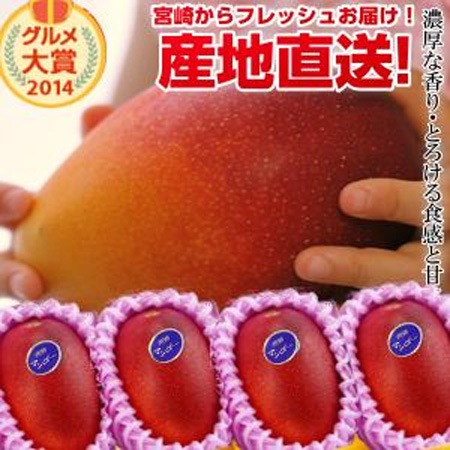 特大宮崎完熟マンゴー 特大玉4玉 宮崎からお届けする南国の香り・とろける美味しさがいっぱいの完熟マンゴー地元宮崎だからこそできる鮮度＆産直でお届け お中元 青果物 フルーツギフト 父の日