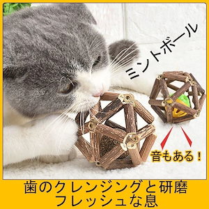 Qoo10限定猫の歯が生える棒 Mutian Polygonum ミントボール 猫のおもちゃ 自己啓発 退屈を解消する工芸品 ペット用品 歯をきれいにする棒 Linglongボール
