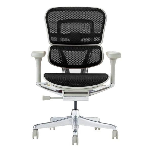 関家具 オフィスチェア ロータイプ 高機能 Ergohuman PRO2 EHP2-LAM-GF-BK グレーフレーム×ブラック