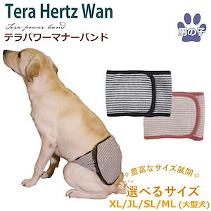 テラパワーマナーバンドペット介護用品 犬用 大型犬 シニア犬 大ヒット商品ドッグウェア 犬服 テラヘルツワン 日本製 メール便1点まで 1メ-2運 7070 【T】