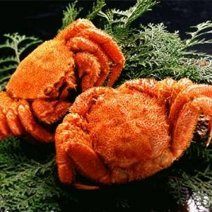 [北海道産]ボイル毛ガニ姿（約350gx2尾）