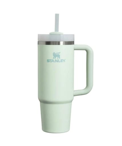 スタンレー(STANLEY) 水筒 ボトル マグ H2.0 真空スリムクエンチャー 0.88L 10-10827-593 (アイスグレー/FF)