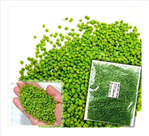 2025年(令和7年) 新物 【枝取り・アク抜き済】 これは朝倉山椒 生冷凍 実山椒 300g　＊軸付き（検査機関での品質検査済）