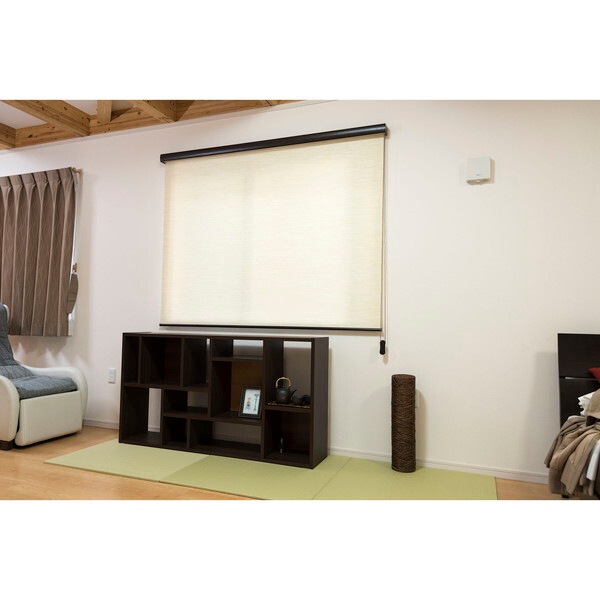Fullness L3541 RSエクシヴ 45X135 NBE ナチュラルベージュ カバー付ロールスクリーン 天然調 45×135cm メーカー直送